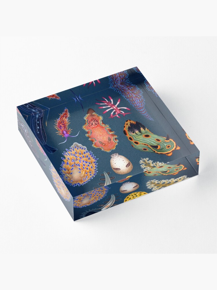 Alternate view of Nudibranchs Plate Acrylic Block