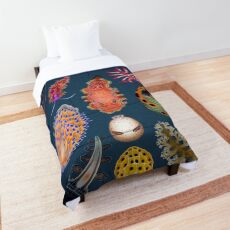 Nudibranchs Plate Comforter