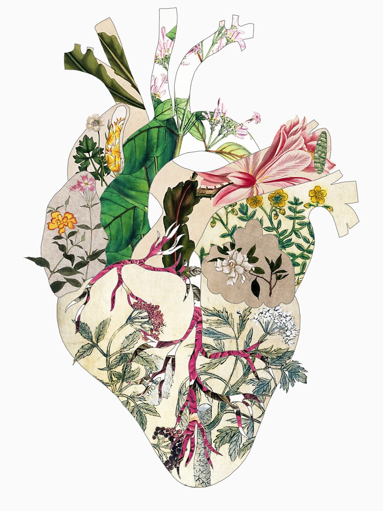 Vintage Botanical Heart - sunshine by BiancaGreen