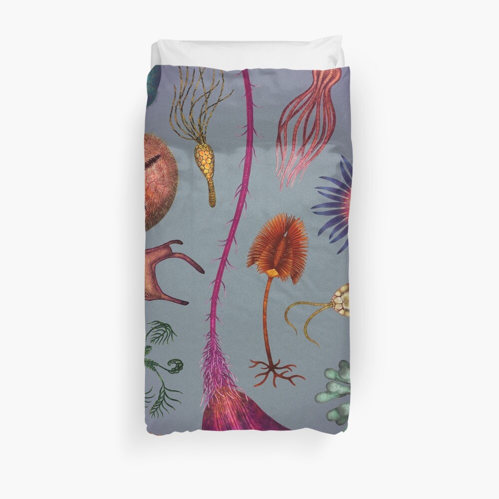 Echinoderms Plate Duvet Cover