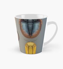Trilobites Plate Tall Mug