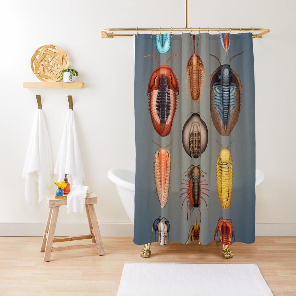 Trilobites Plate Shower Curtain