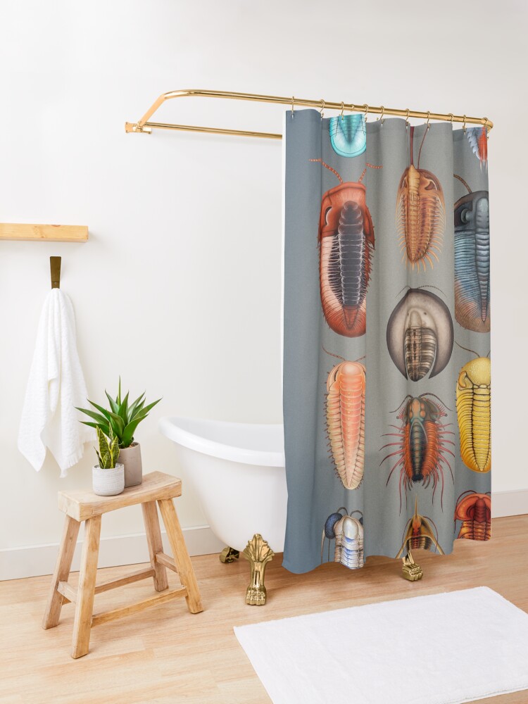 Alternate view of Trilobites Plate Shower Curtain