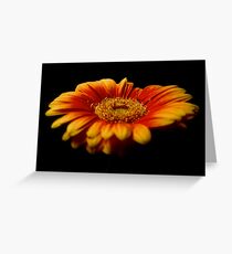 Floral Flames Greeting Card