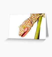 Wild Thing Greeting Card