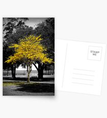 Vanessa's Tree Postcards