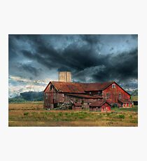 WEATHERING THE STORM Photographic Print