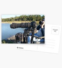 My Cameras Postcards