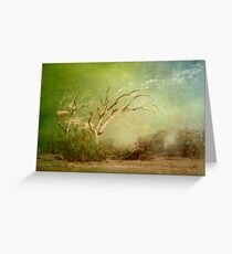 Misty Morning Greeting Card