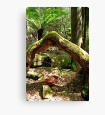 Shapes Canvas Print