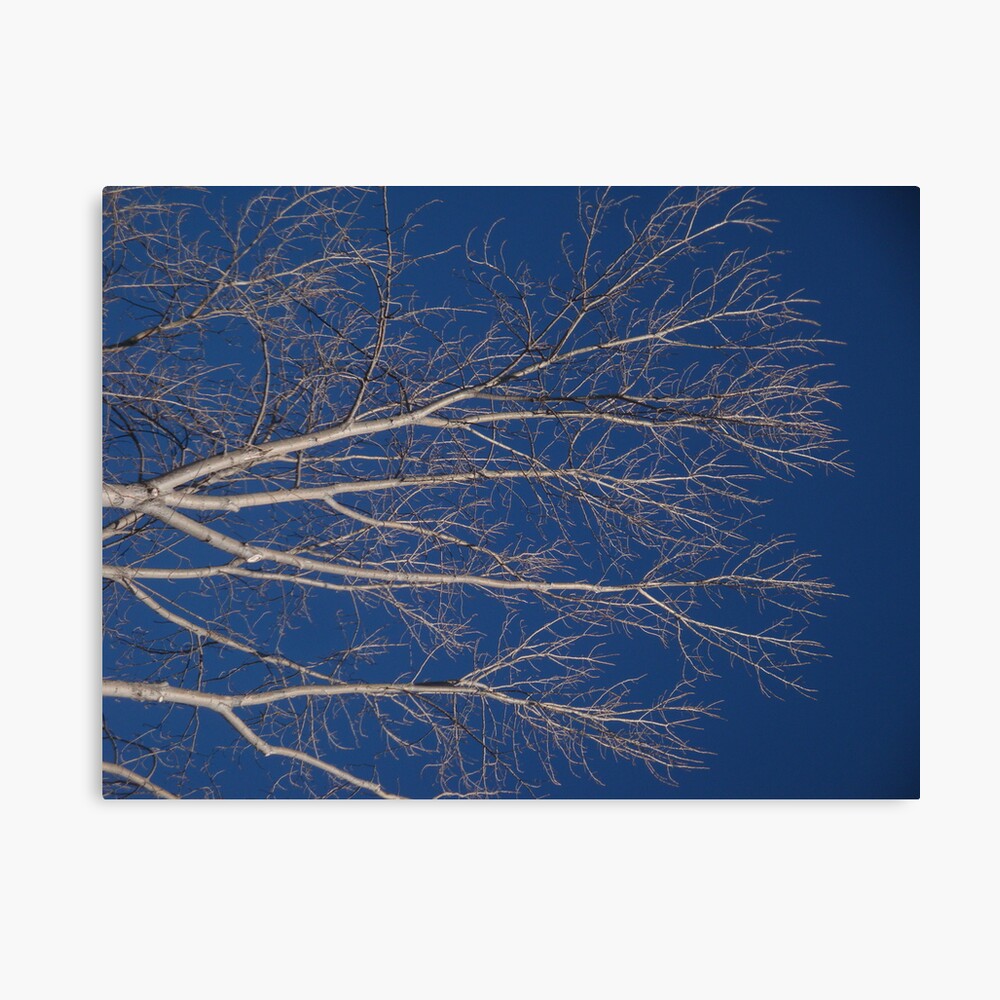 Brain Damage Canvas Print