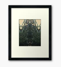 Decayed Framed Print