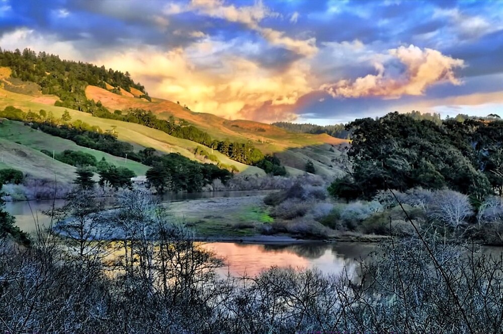 "Russian River / Jenner, California" by janice fife Redbubble