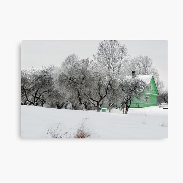 Green House in winter time Canvas Print