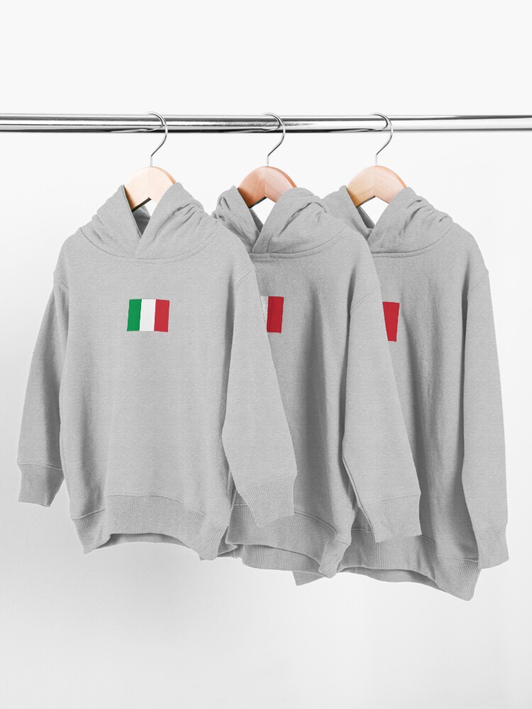 Alternate view of Italy Flag - Italian T-Shirt Toddler Pullover Hoodie