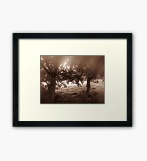 Glade Framed Print