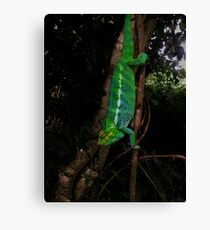 Panther Chameleon Canvas Print