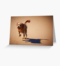 Shaggy Greeting Card