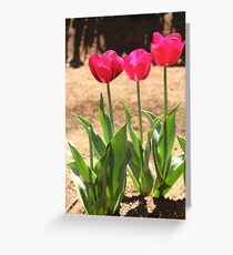 Tulip Greeting Card