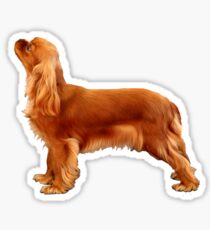Ruby Cavalier King Charles Spaniel Sticker