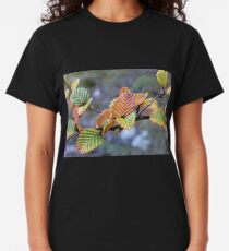 Fagus in the afternoon sun, Cradle Mountain,Tasmania, Australia. Classic T-Shirt