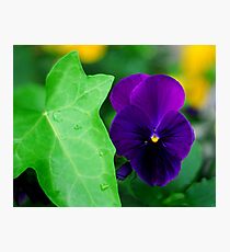 My Blue Flower Photographic Print