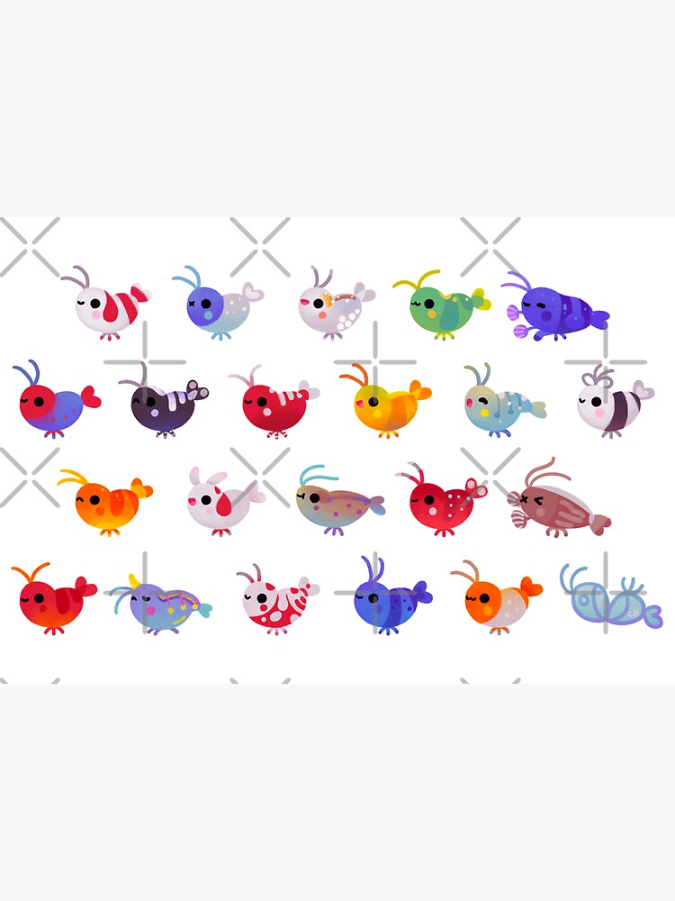 Freshwater shrimp by pikaole