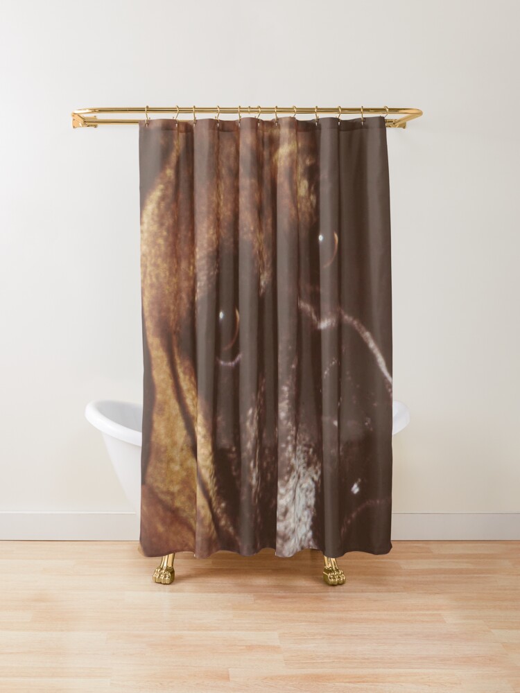 "Our Boxer.Quino" Shower Curtain by robelf Redbubble