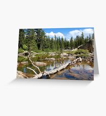 Forest Lake - Two Greeting Card