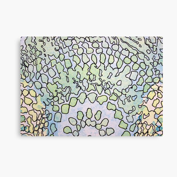 1, Inset B Canvas Print