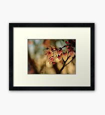 Blossoms & Light Framed Print