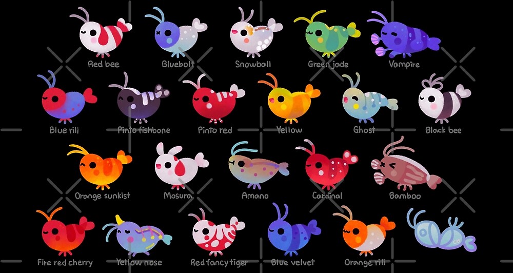 "Freshwater shrimp name" by pikaole Redbubble