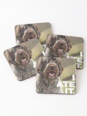 I ATE IT Coasters