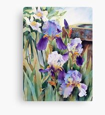 Irises and Clematis Canvas Print