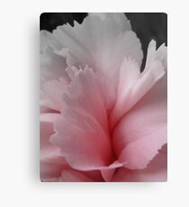 Evocative Metal Print