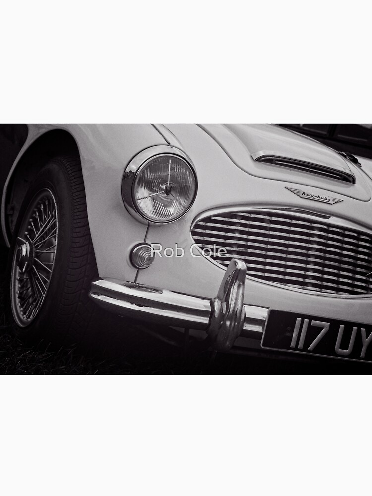 Austin Healey Classic Sports Car Front by robcole