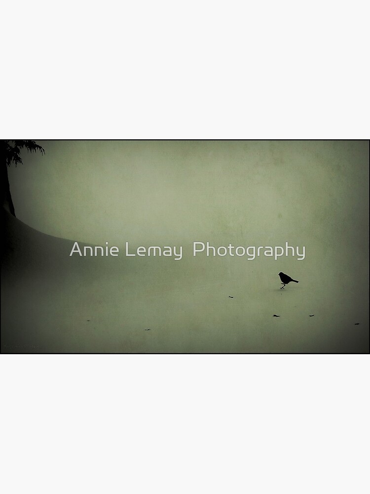 Snow Bird by ajlphotography