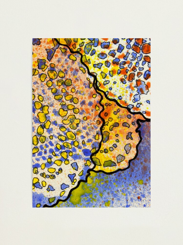 Alternate view of 3, Inset B Photographic Print