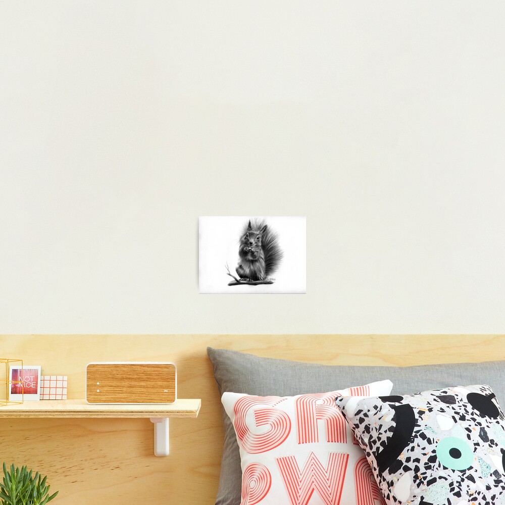 Red squirrel Photographic Print
