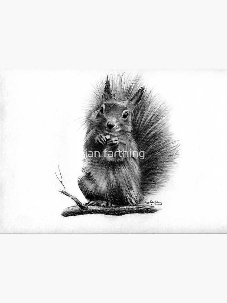 Red squirrel by rayvenjan