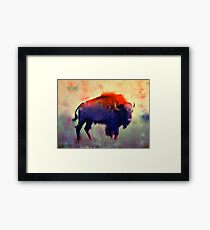 Bison Framed Print