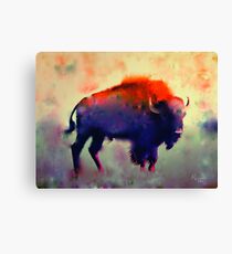 Bison Canvas Print