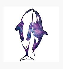 Orcas in space Photographic Print