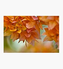 Nature creation: On Featured: The-women-photographer Group Photographic Print