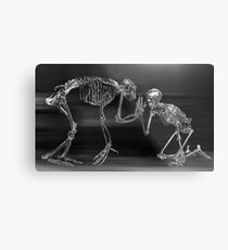Evolution Metal Print