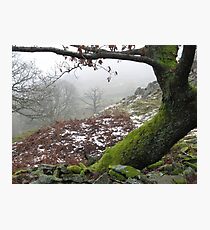 A touch of winter Photographic Print