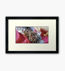 Emma Playing Framed Print