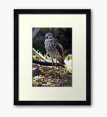 Bush-thick Knee Framed Print