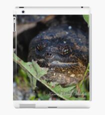 Snapping Turtle iPad Case/Skin