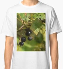 Black Currant Classic T-Shirt